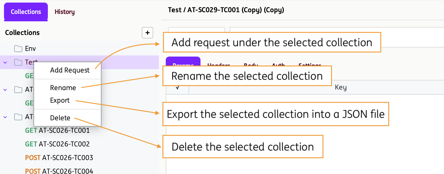 CollectionLevelOptions CollectionLevelOptions