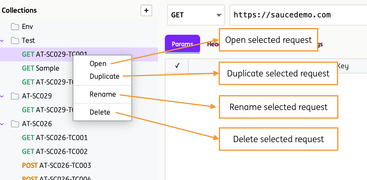 RequestLevelOptions RequestLevelOptions